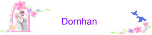 Dornhan