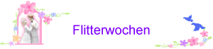 Flitterwochen