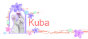 Kuba