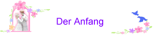 Der Anfang