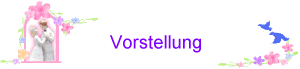 Vorstellung